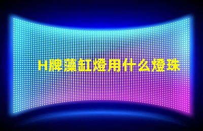 H牌藻缸燈用什么燈珠