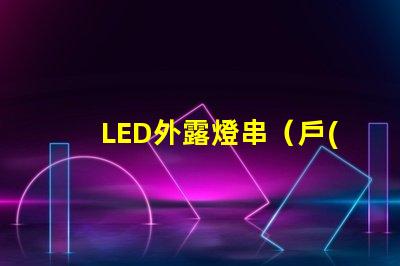 LED外露燈串（戶(hù)外裝飾照明首選）