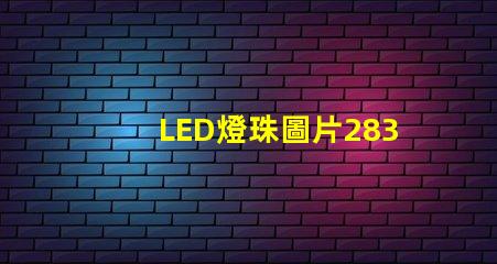 LED燈珠圖片2835