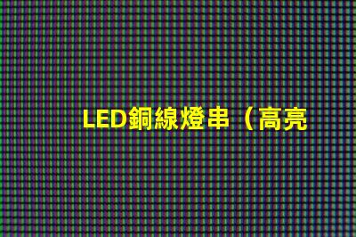LED銅線燈串（高亮度裝飾照明利器）