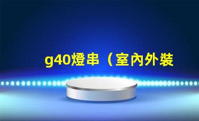 g40燈串（室內外裝飾必備）