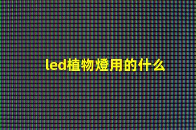 led植物燈用的什么燈珠