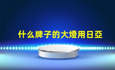 什么牌子的大燈用日亞燈珠