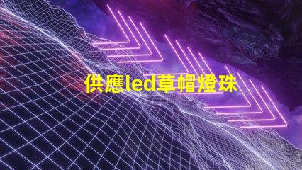 供應led草帽燈珠