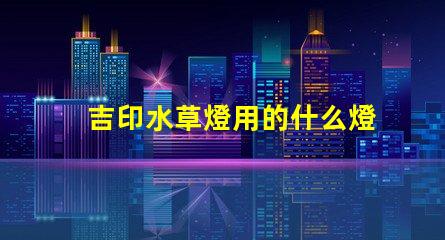吉印水草燈用的什么燈珠