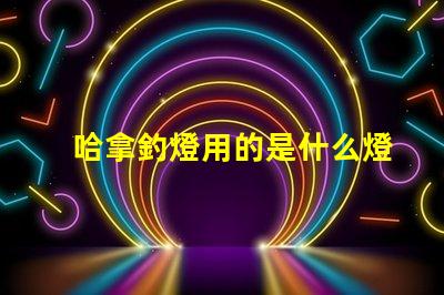 哈拿釣燈用的是什么燈珠
