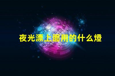 夜光漂上面用的什么燈珠