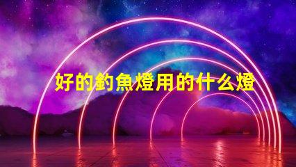 好的釣魚燈用的什么燈珠