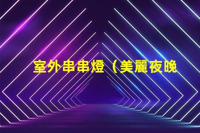 室外串串燈（美麗夜晚的點綴）