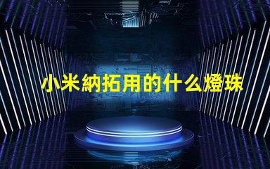 小米納拓用的什么燈珠