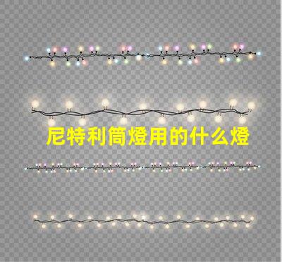 尼特利筒燈用的什么燈珠