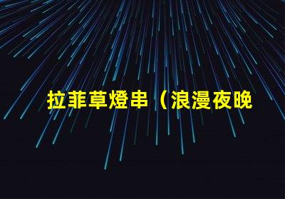 拉菲草燈串（浪漫夜晚的裝飾燈串）