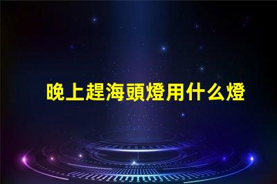 晚上趕海頭燈用什么燈珠