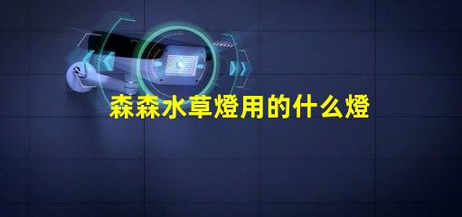 森森水草燈用的什么燈珠