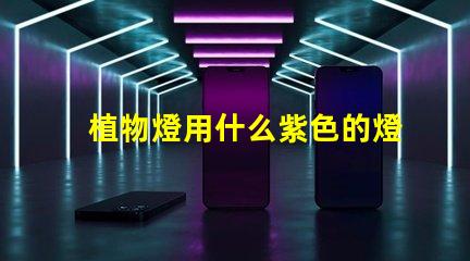 植物燈用什么紫色的燈珠