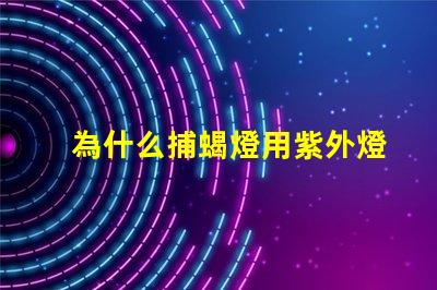 為什么捕蝎燈用紫外燈珠