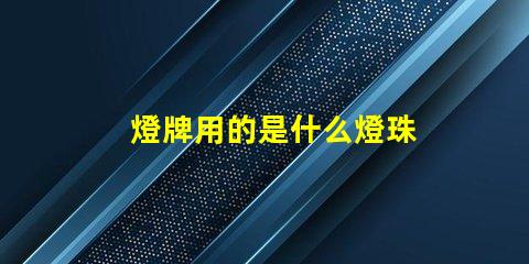 燈牌用的是什么燈珠