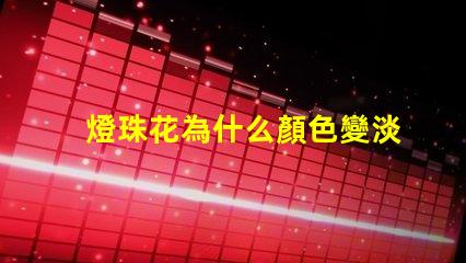 燈珠花為什么顏色變淡