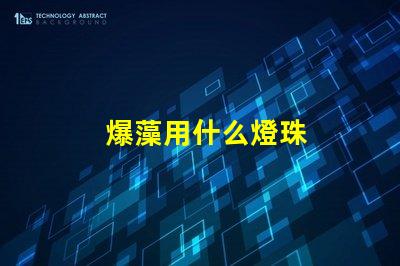 爆藻用什么燈珠