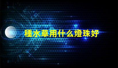 種水草用什么燈珠好