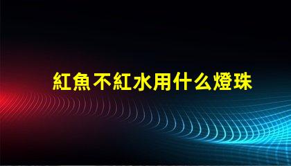 紅魚不紅水用什么燈珠