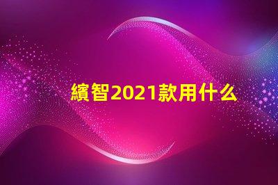 繽智2021款用什么燈珠