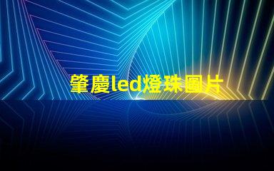 肇慶led燈珠圖片