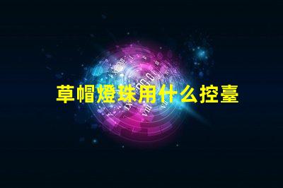 草帽燈珠用什么控臺