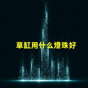 草缸用什么燈珠好