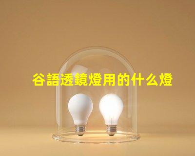 谷語透鏡燈用的什么燈珠