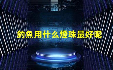 釣魚用什么燈珠最好呢