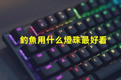 釣魚用什么燈珠最好看