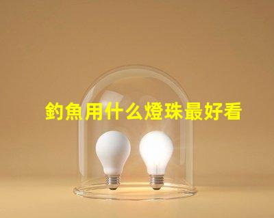 釣魚用什么燈珠最好看的
