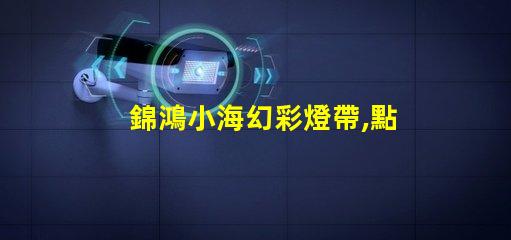 錦鴻小海幻彩燈帶,點(diǎn)亮你的生活
