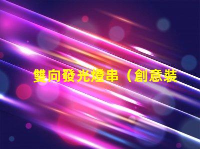 雙向發光燈串（創意裝飾照明藝術）