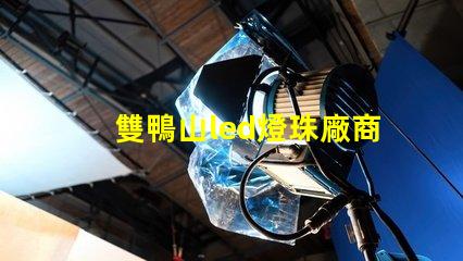 雙鴨山led燈珠廠商
