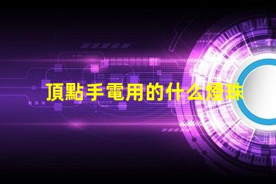 頂點手電用的什么燈珠