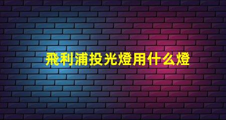 飛利浦投光燈用什么燈珠