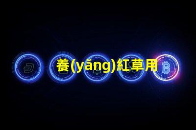 養(yǎng)紅草用什么燈珠