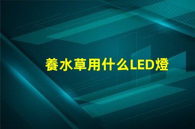 養水草用什么LED燈珠