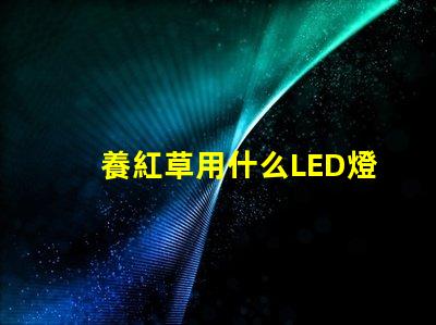 養紅草用什么LED燈珠