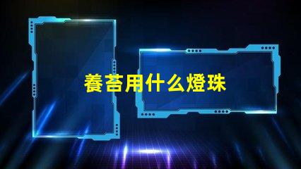 養苔用什么燈珠