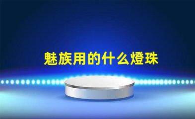 魅族用的什么燈珠