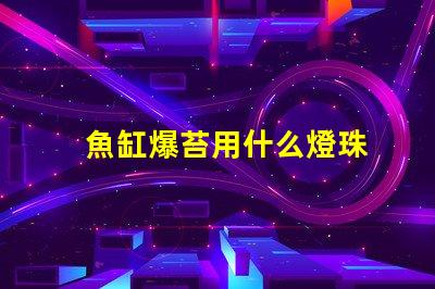 魚缸爆苔用什么燈珠