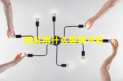 魚缸用什么燈珠不紅