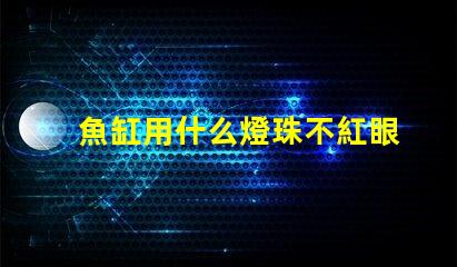魚缸用什么燈珠不紅眼