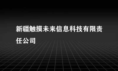 新疆觸摸未來信息科技有限責(zé)任公司 專業(yè)代理國內(nèi)各類廣告服務(wù)