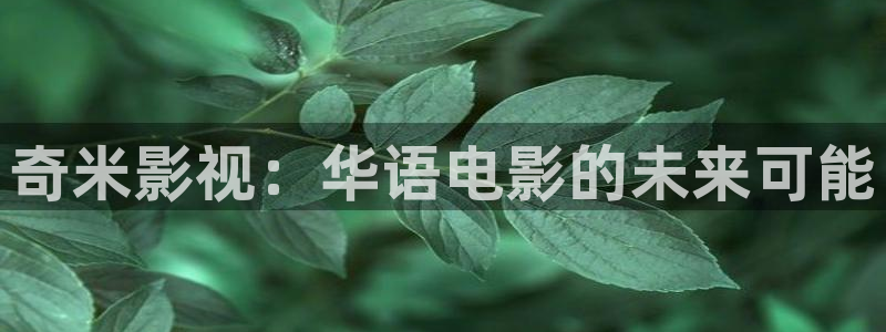 酷客影院嫂子的職業：奇米影視：華語電影的未來可能