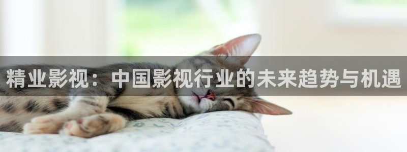 手機酷客影院在線：精業影視：中國影視行業的未來趨勢與機遇